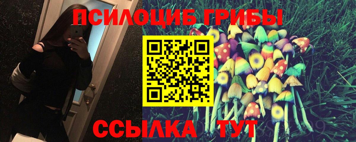 Псилоцибиновые грибы мухоморы  купить закладку  Бийск  Псилоцибиновые грибы Cubensis  Вход с VPN 